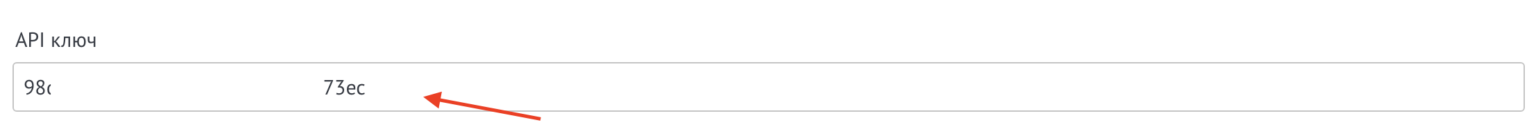 Настройка API-ключа в виджете Dashamail